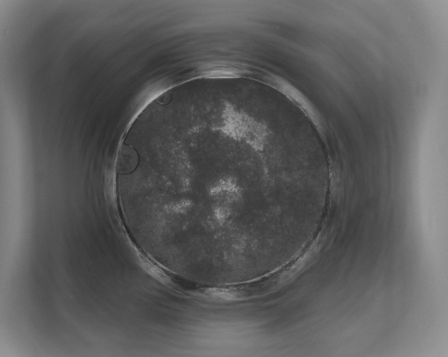 X0000111641194200907171540