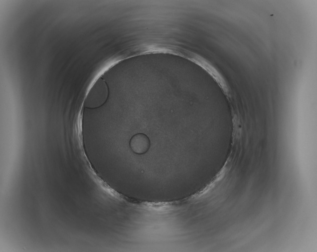 X0000111641198200907171540