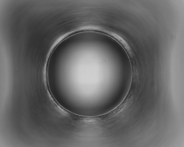 X0000111641199200907171540