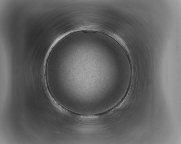 X0000111641200200907171540