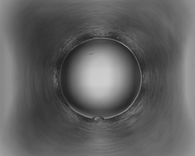X0000111641202200907171540