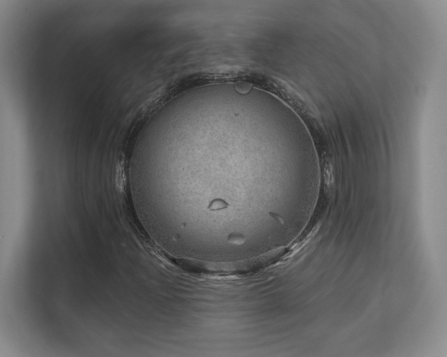 X0000111641204200907171540