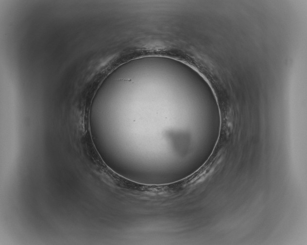 X0000111641205200907171540