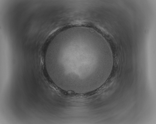 X0000111641206200907171540