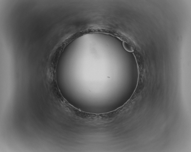 X0000111641207200907171540