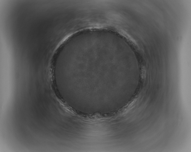 X0000111641208200907171540