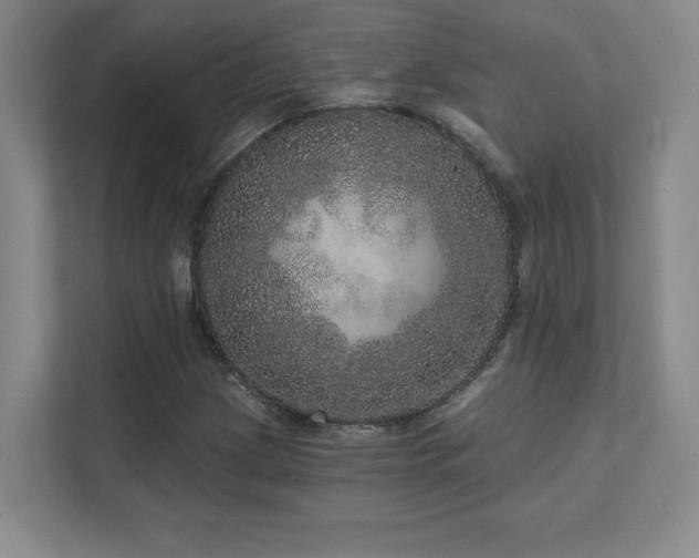 X0000111641209200907171540