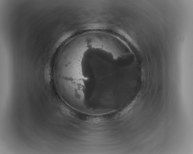 X0000111641213200907171540