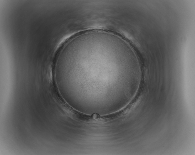 X0000111641214200907171540
