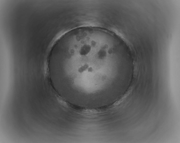 X0000111641215200907171540