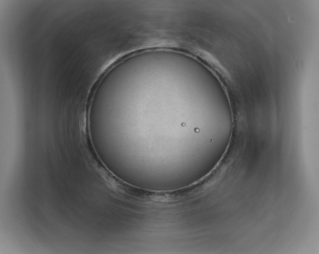 X0000111641220200907171540