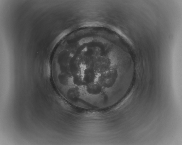 X0000111641221200907171540