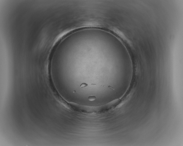 X0000111641222200907171540