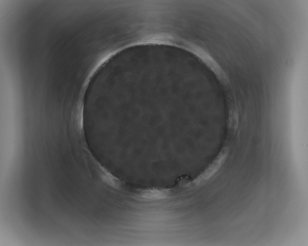 X0000111641224200907171540