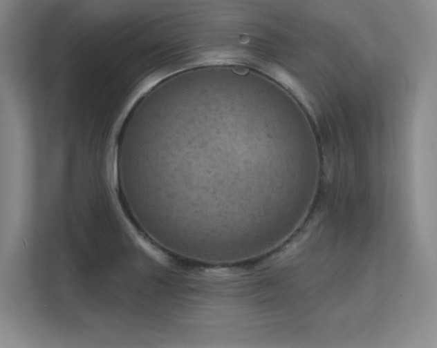 X0000111641227200907171540