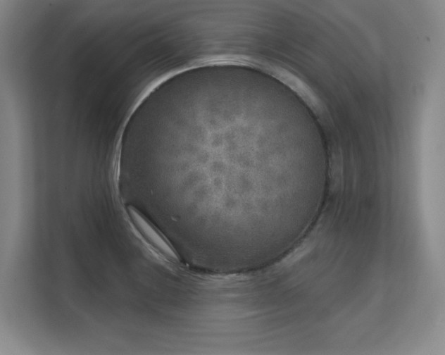 X0000111641228200907171540