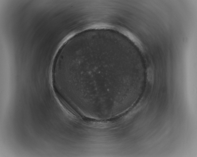 X0000111641229200907171540