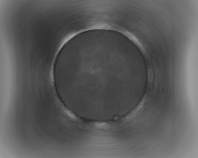 X0000111641230200907171540