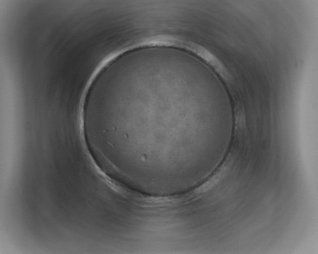 X0000111641232200907171540