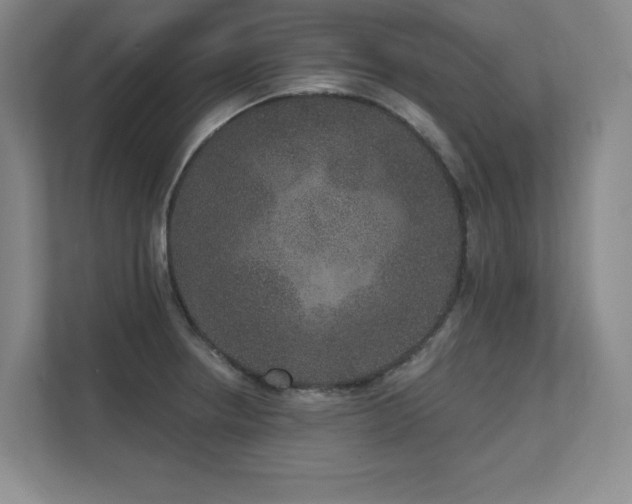 X0000111641234200907171540