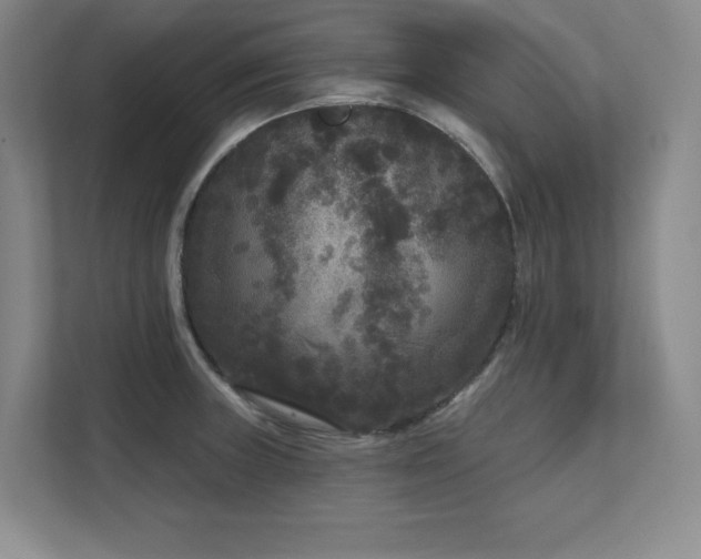 X0000111641235200907171540