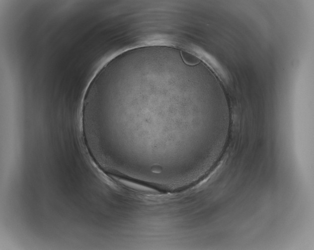 X0000111641236200907171540