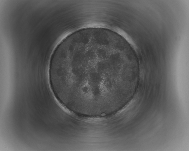 X0000111641237200907171540