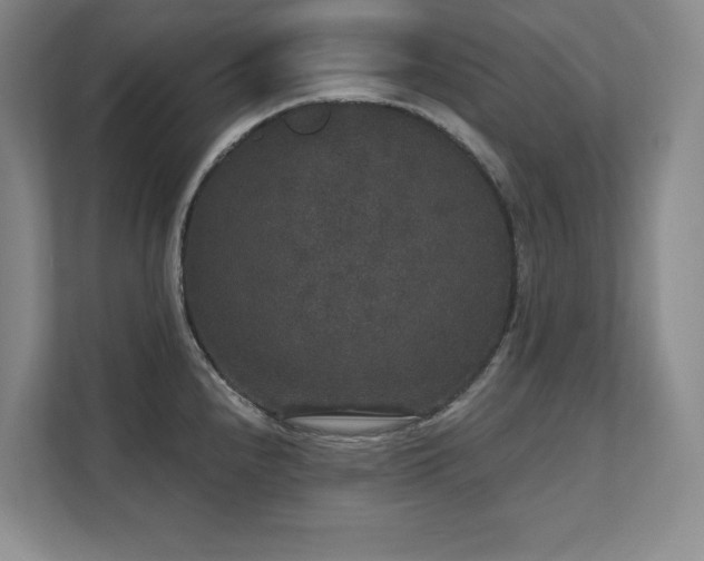 X0000111641240200907171540