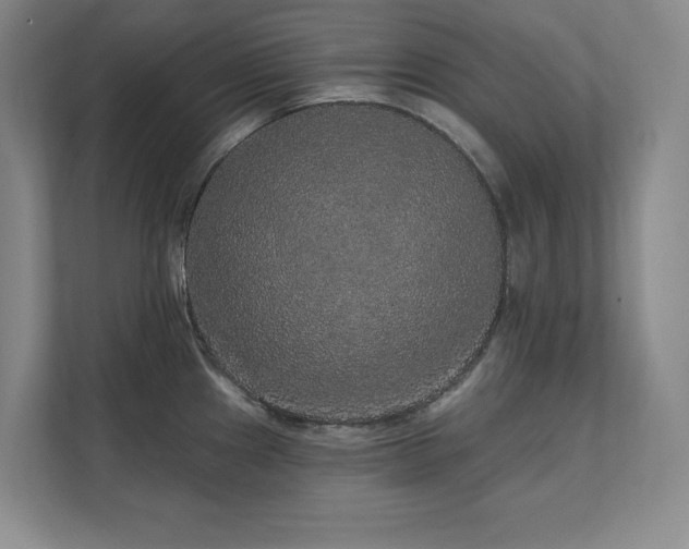 X0000111641241200907171540