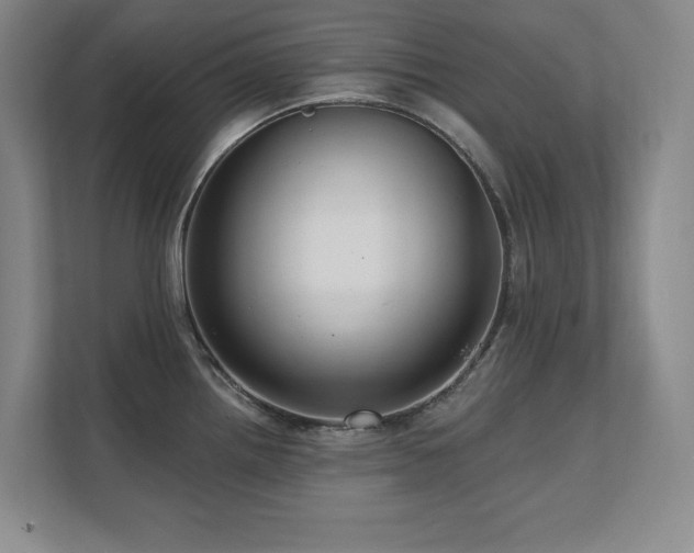 X0000111641242200907171540