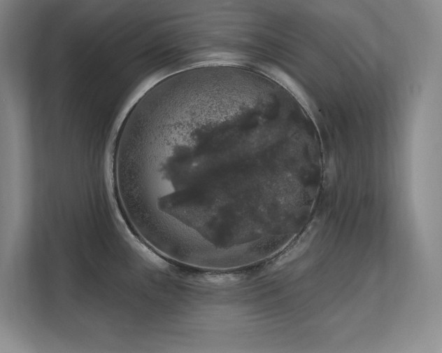 X0000111641243200907171540