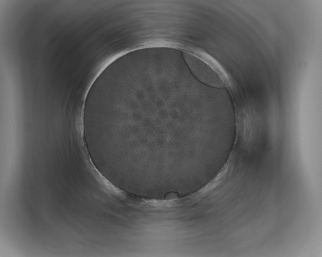 X0000111641244200907171540