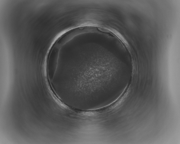 X0000111641246200907171540