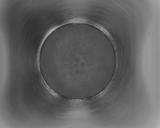 X0000111641248200907171540