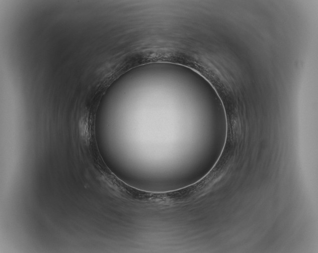 X0000111641250200907171540