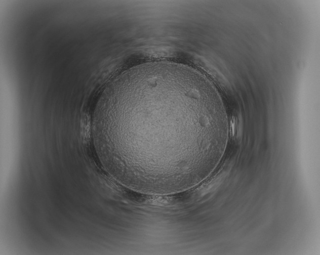 X0000111641251200907171540
