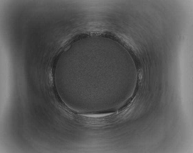X0000111641252200907171540