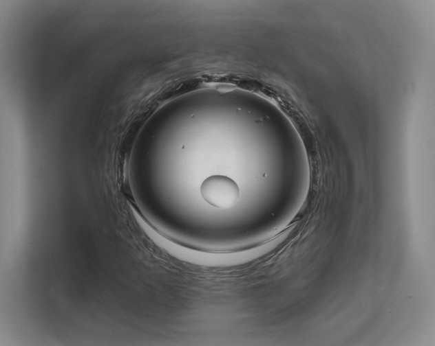 X0000111641253200907171540