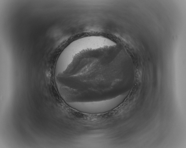 X0000111641254200907171540