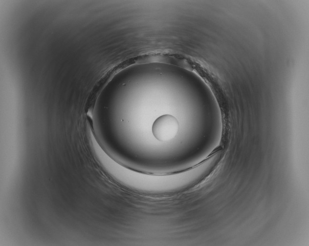X0000111641257200907171540
