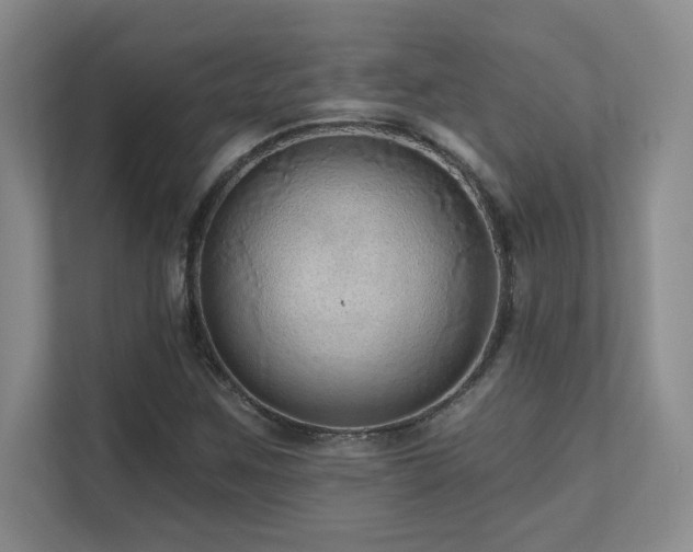 X0000111641259200907171540