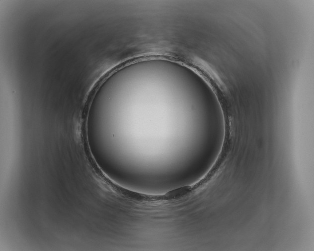 X0000111641260200907171540