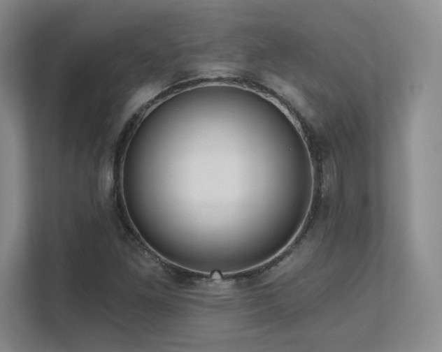 X0000111641261200907171540