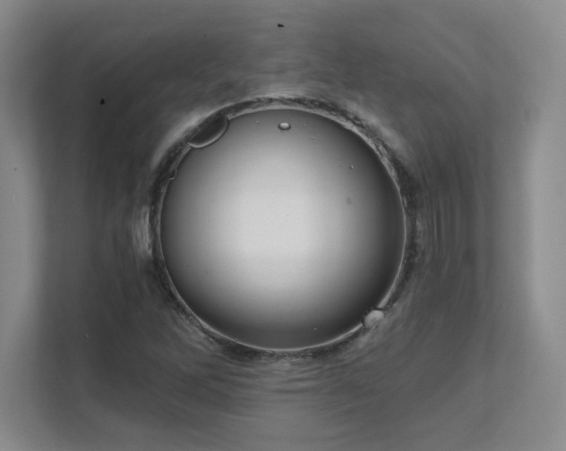 X0000111641262200907171540