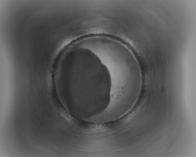 X0000111641263200907171540