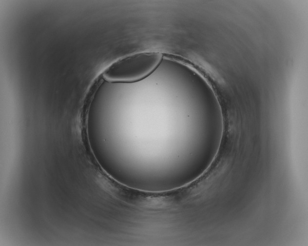 X0000111641264200907171540