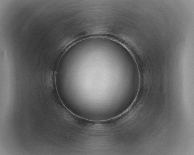 X0000111641265200907171540