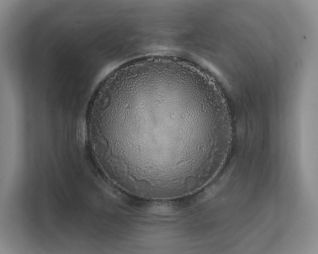 X0000111641267200907171540