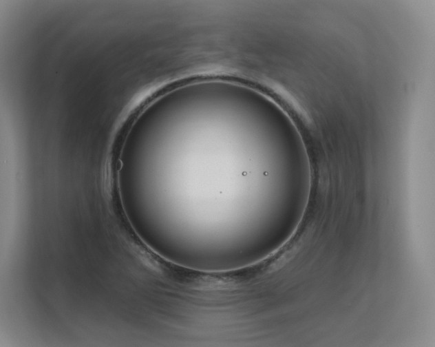 X0000111641270200907171539