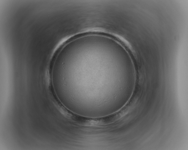 X0000111641271200907171539